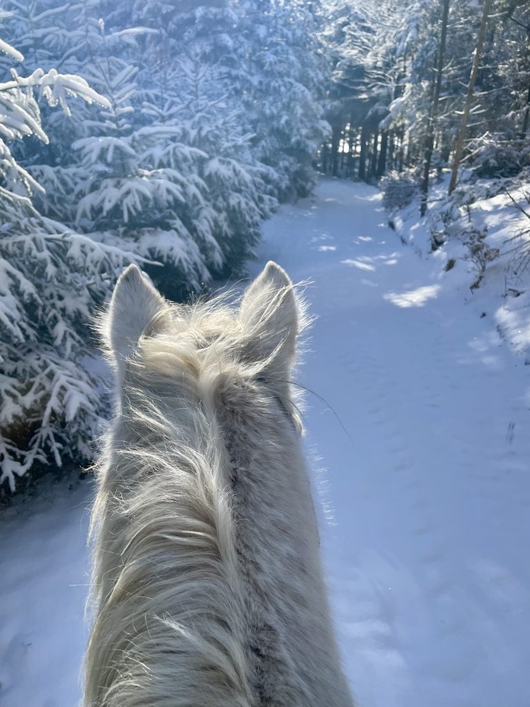 Winterausritt im Schnee